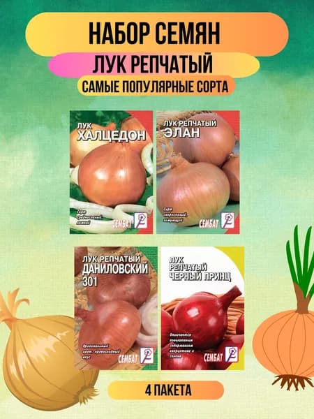 Репчатый лук набор 4 сорта: Даниловский 0,3г., Халцедон 0,5г, Черный принц, 0.3г., Элан 0,2г.