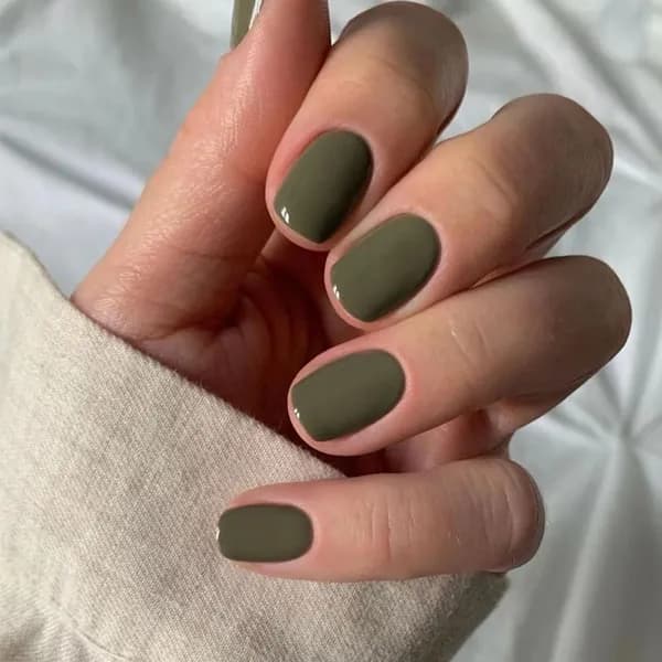 24pcs Короткие