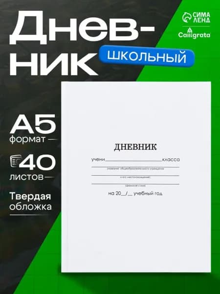 Дневник школьный A5, листов: 40