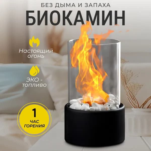 Биокамин Настольная установка