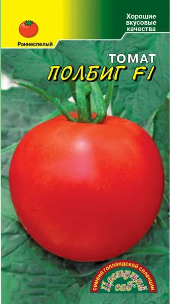 Томат Полбиг F1 Голландия