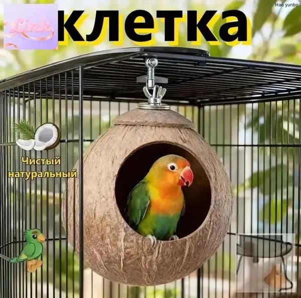 Гнездо для попугая изготовлено из натурального кокоса, диаметр кокоса: 10-13 см, 1 штука