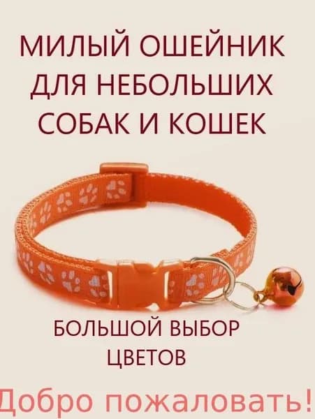 Ошейник для кошек и собак мелких пород с колокольчиком. Оранжевый.
