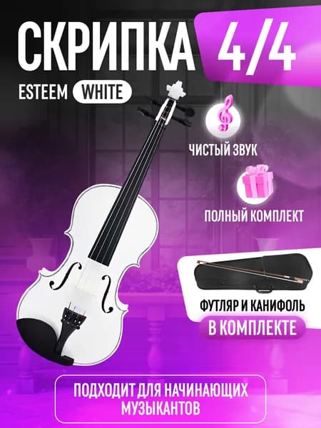 Скрипка 4/4. коричневый, футляр и аксессуары
