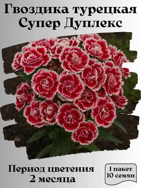Гвоздика турецкая Супер Дуплекс, семена, 10 шт., 15 гр.