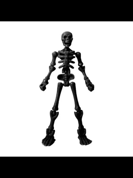 Игрушечная модель черепа