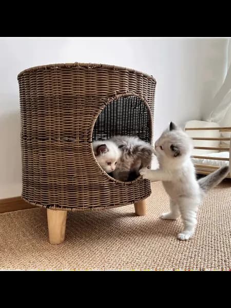 Домик лежак для кошек
