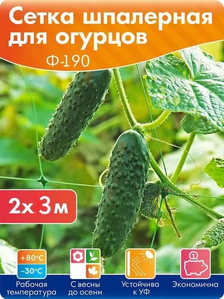 Протэкт Сетка садовая шпалерная,Пластик,2х3м