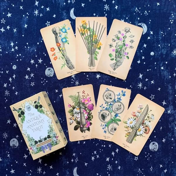 Antique Anatomy Tarot. Таро античной анатомии