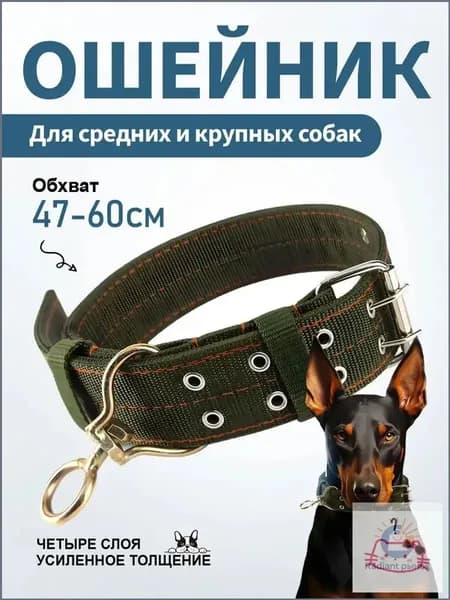 Ошейник