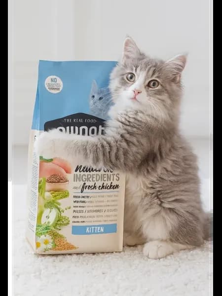 Сухой корм для котят, с курицей, 1.5 кг