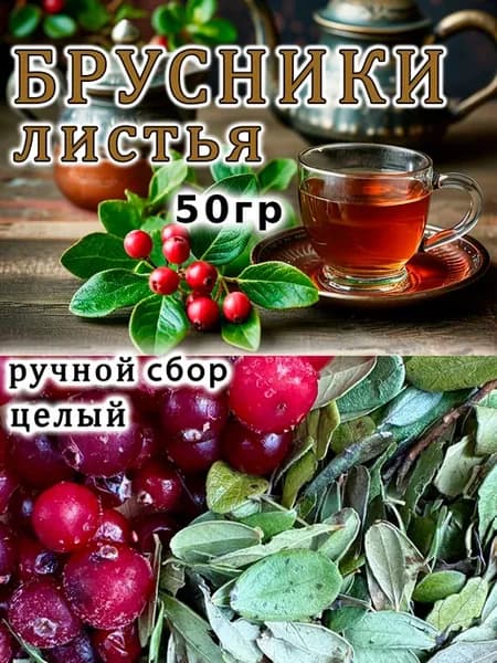 Брусника лист