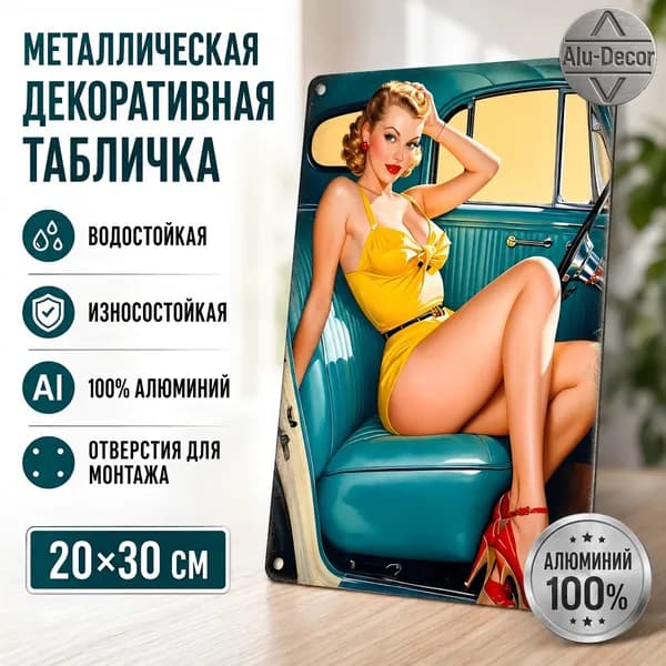 Железные диски используются для декора гаражей и мастерских. На них изображены сексуальные женские фигуры. Материал: металл. Размеры: 20 30 сантиметров.