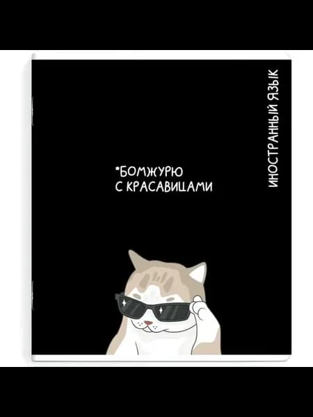 Тетрадь для изучения языков с милыми котами