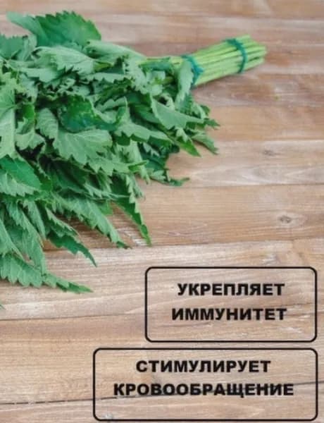 Веник для бани Крапивный, 1 шт.