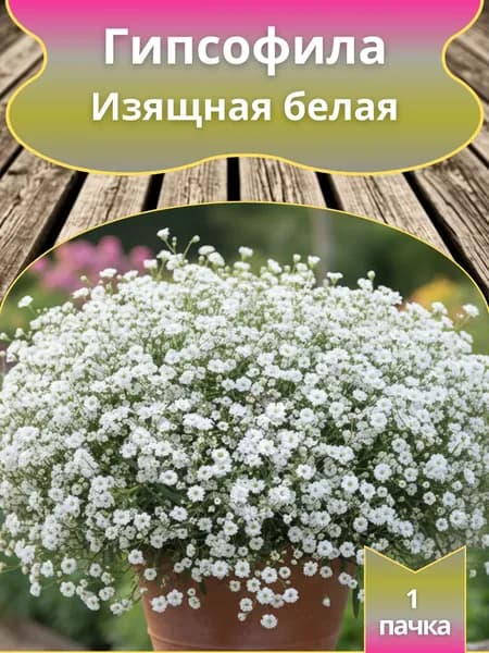 Гипсофила Изящная белая ,семена 10шт.