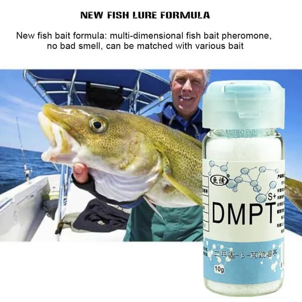 Рыболовная приманка DMPT Bait