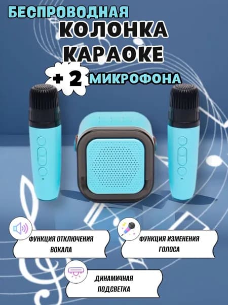 Колонка караоке с микрофонами подарок