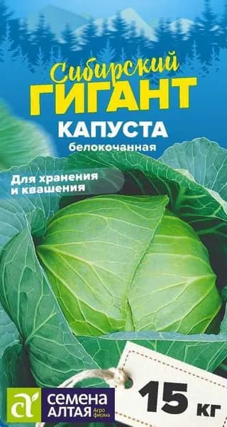 Семена Капуста Сибирский Гигант/Семена Алтая/цп 0,3 гр. СЕРИЯ СИБИРСКИЕ ГИГАНТЫ!