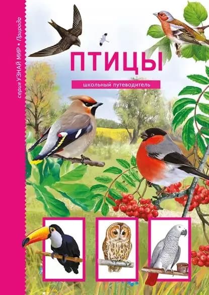 Птицы | Дунаева Юлия Александровна | Электронная книга