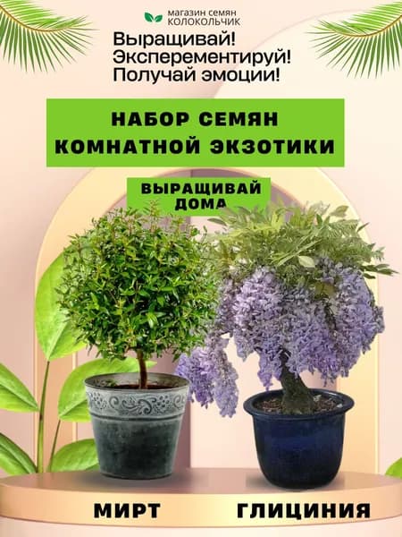 Набор семян серия "ВЫРАЩИВАЙ ДОМА": Глициния китайская, Мирт обыкновенный