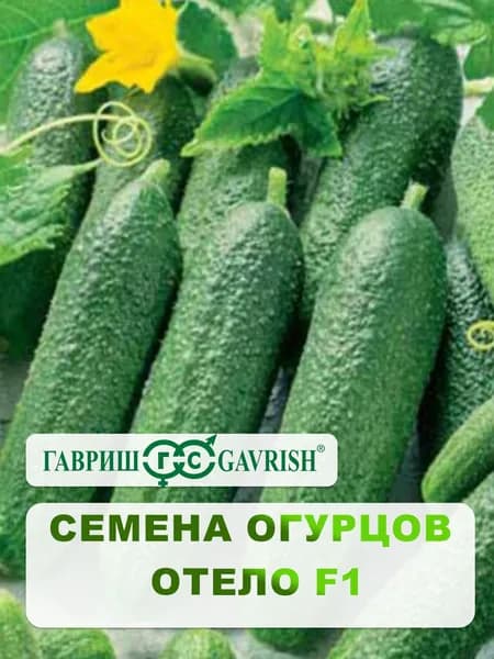 Семена Огурцов "Отело F1", 10 шт.