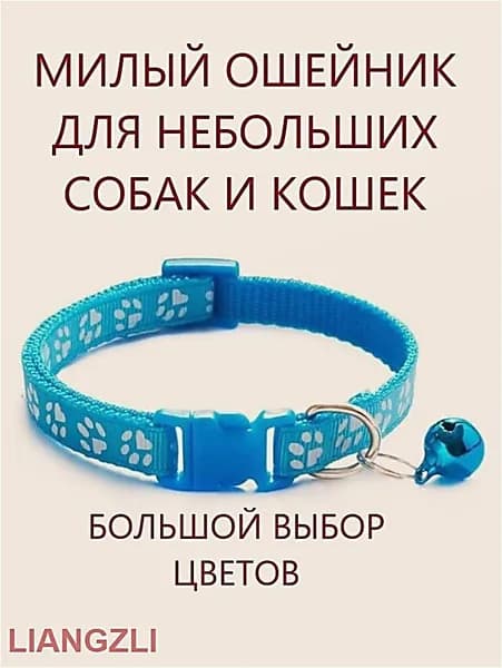 Ошейник