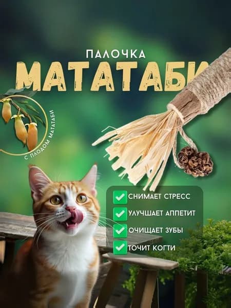 Палочка мататаби с плодом мататаби для чистки зубов/ Натуральная игрушка для кошек и котят