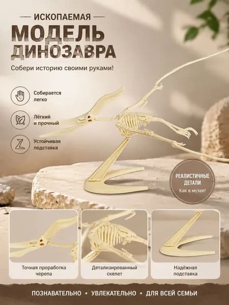 Ископаемая Модель Динозавра