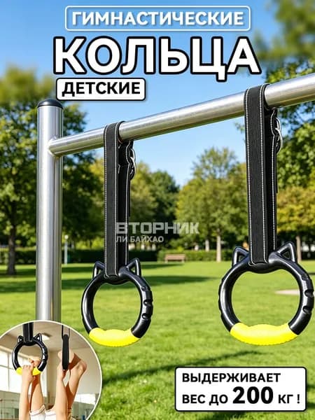 Гимнастические кольца