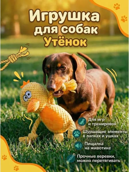 Плюшевые звуковые игрушки разных моделей для собак, мягкие жевательные с пищалкой от скуки
