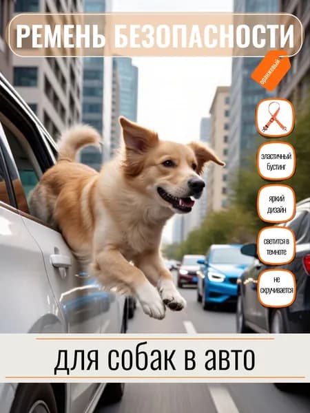 Ремень безопасности для собак