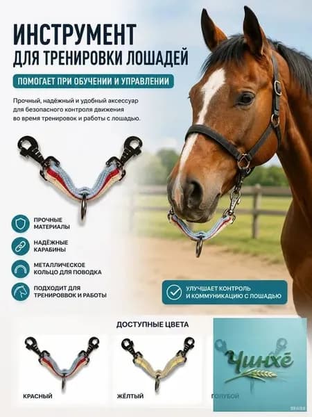 Переход на корду для лошадей