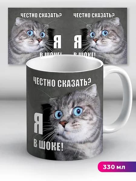 Кружка с приколом Мем Кот Честно сказать я в шоке