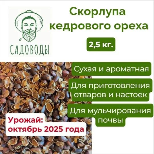 Скорлупа кедрового ореха_2,5 кг