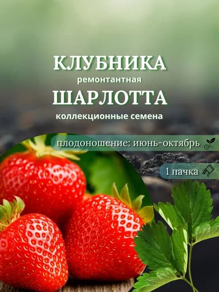 Клубника (ремонтантная) Шарлотта, семена 10 шт.