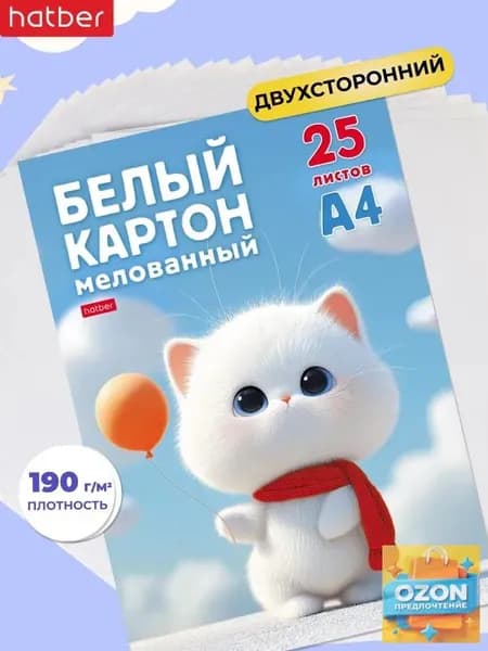 Картон A4, количество листов: 25