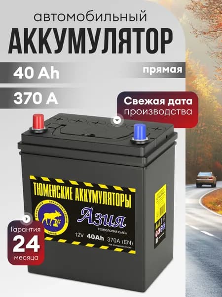 Аккумулятор автомобильный 12v 40 Ah ТЮМЕНЬ Asia 40 Ач 370 А L+ прямая полярность 187х128х223 стартерный акб для автомобиля, машины
