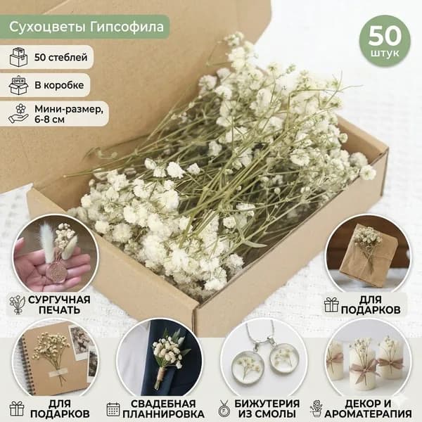 Сухоцветы, 8 см, 40 гр, 50 шт