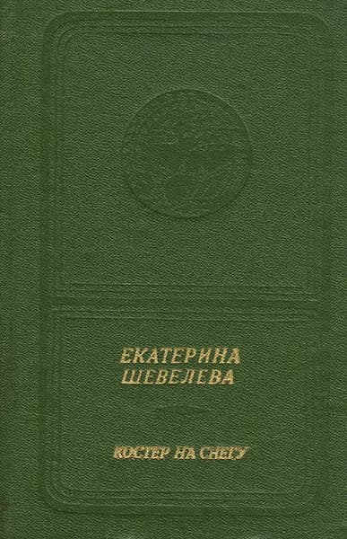 Костер на снегу | Шевелева Екатерина Васильевна