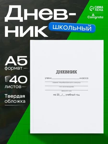 Дневник школьный A5, листов: 40