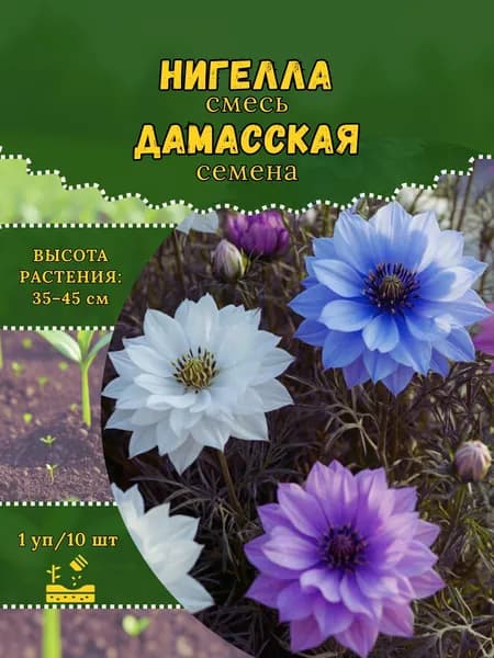 Нигелла "Дамасская, смесь" семена, 1 пачка