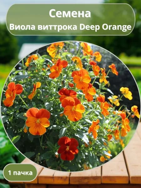Анютины глазки (Виола) виттрока Deep Orange, семена 10 шт