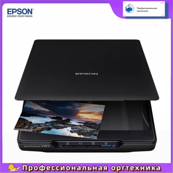 Epson Сканер, черный матовый, черно-серый