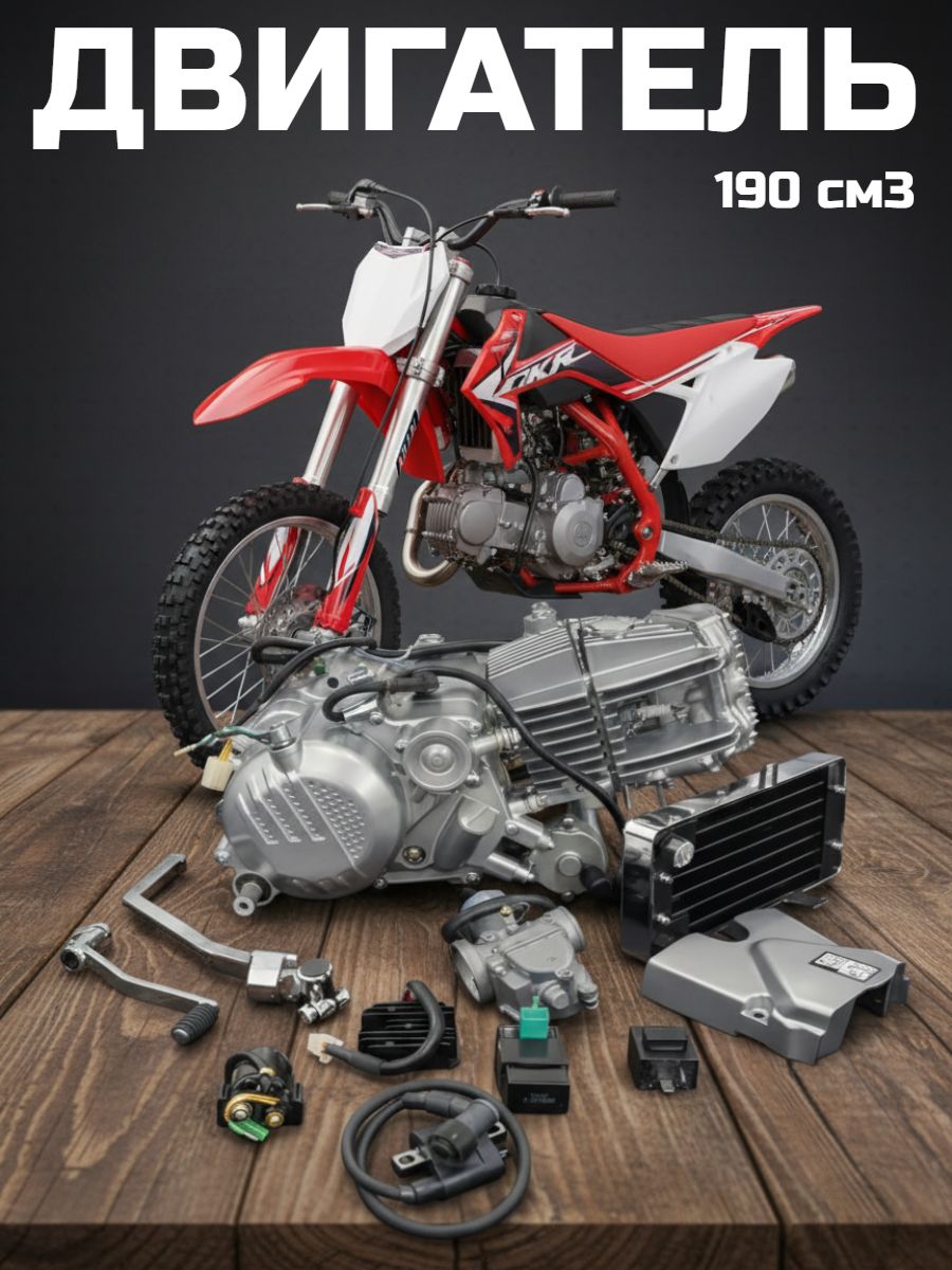 Двигатель ZS190E для питбайка (190 см3, ZS1P62YML-2) в сборе