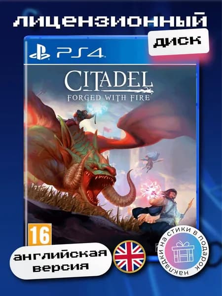 Citadel: Forget With Fire PS4, английская версия