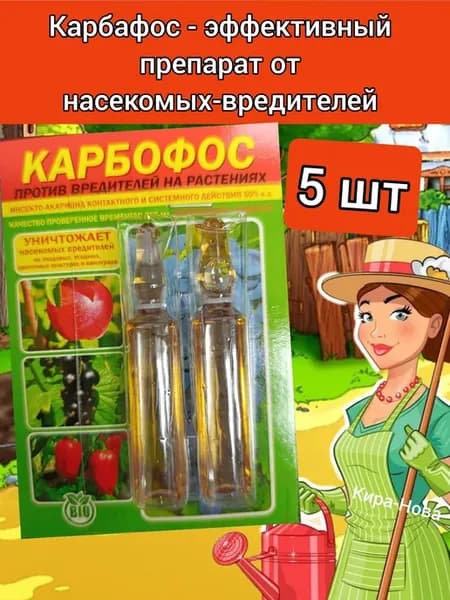 Карбофос для сада растений от муравьёв от вредителей