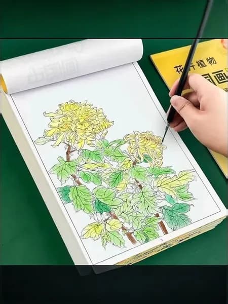 Тетрадь для китайской живописи: Практика для начинающих с базовыми линиями и DIY раскраской |  Алмаз Анастасия