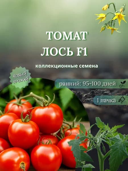 Томат Лось F1, коллекционные семена, 10 шт.