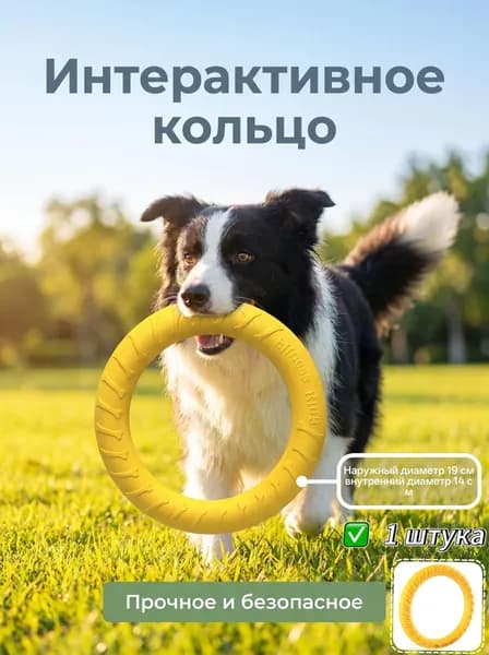 Тренировочное кольцо для собак, устойчивое к укусам, EVA, диаметр 19 см